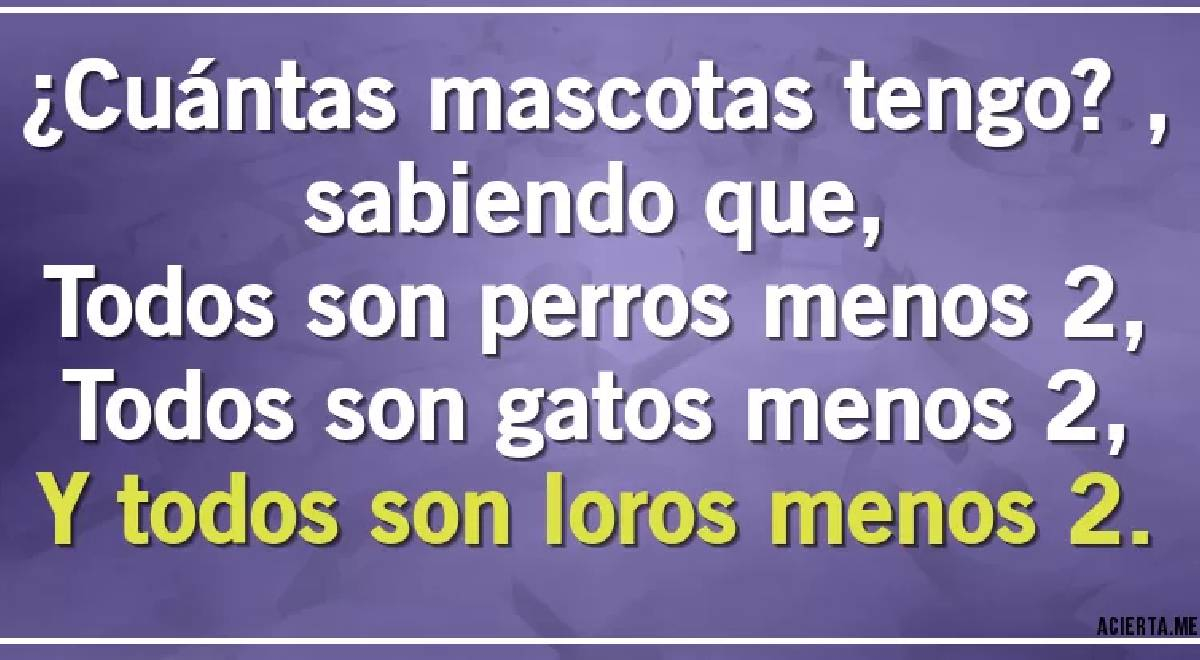 ¿Cuántas mascotas hay en total? Conságrate como un 'AS' respondiendo en 6 segundos