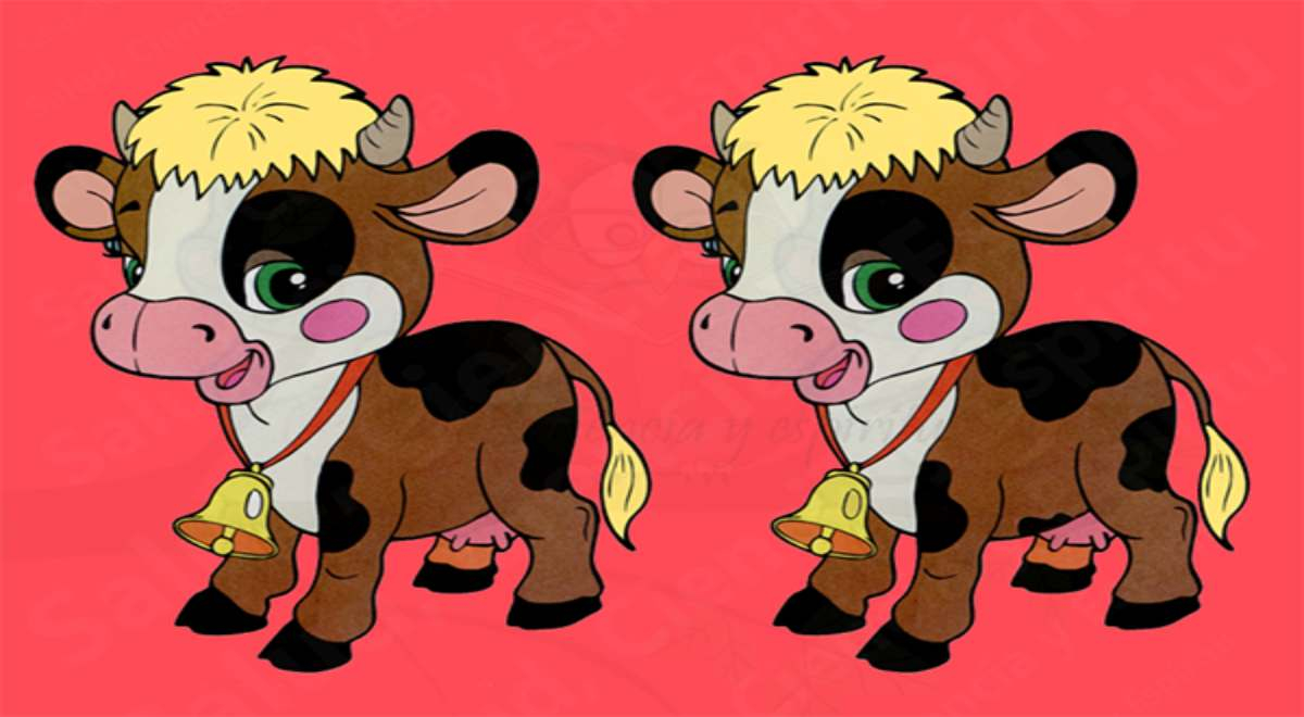 Only a true 'CRACK' surpasses the challenge: Can you spot the 2 differences between the cows?
