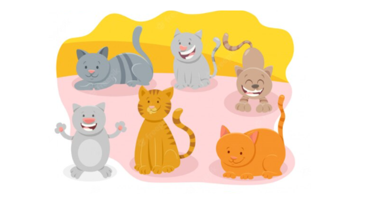 ¿Ves las 5 diferencias en los gatitos? Si tienes una EXCELENTE VISIÓN las encontrarás