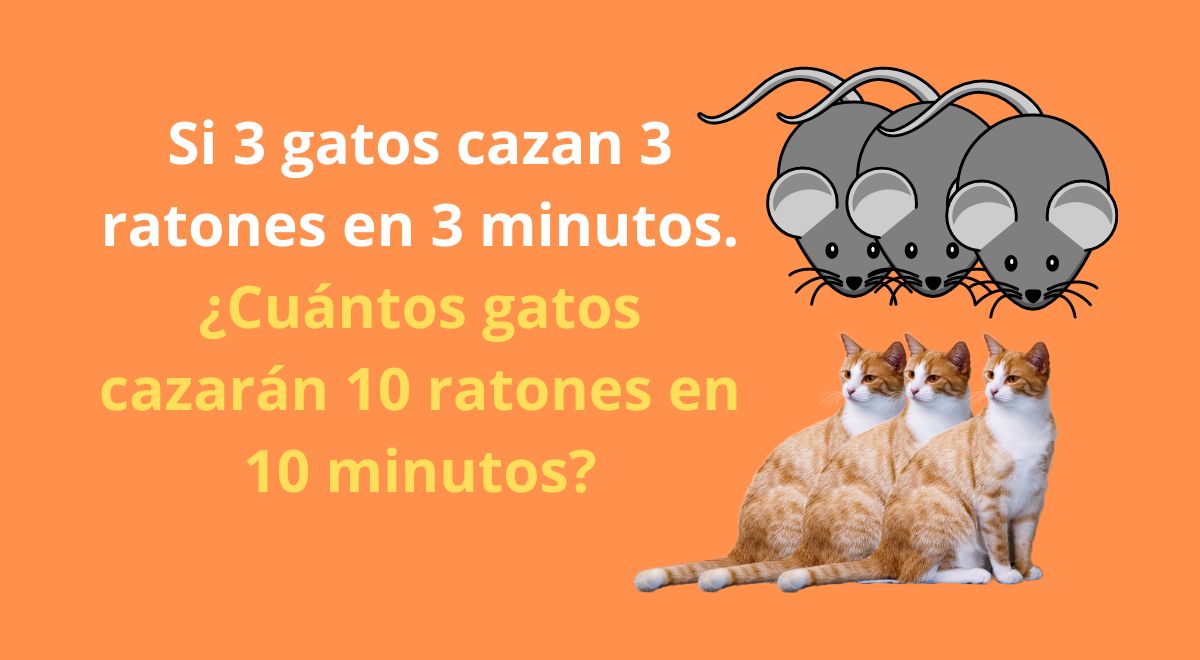 ¿Cuántos gatos cazarán 10 ratones en 10 minutos? Si eres de MENTE ÁGIL darás con la respuesta