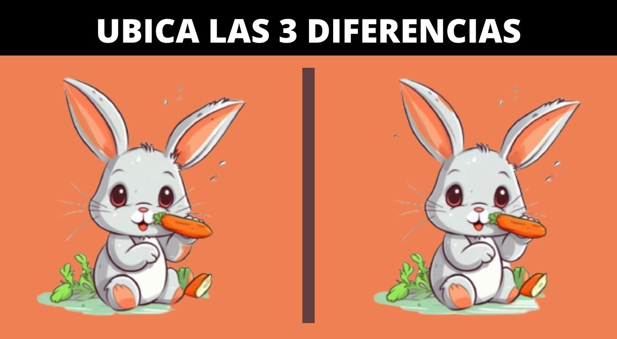 ¿Tu CAPACIDAD VISUAL te permitirá hallar 3 diferencias entre los conejos? Solo tienes 7 segundos