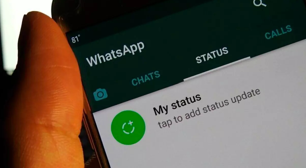 WhatsApp 2023: discover the new feature of the app that will replace the 'statuses'.