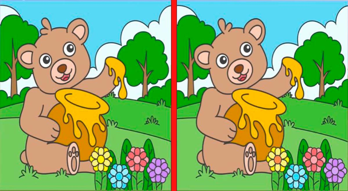 Solo un VERDADERO EXPERTO resolvería este reto: ¿Ves las 3 diferencias en los osos?