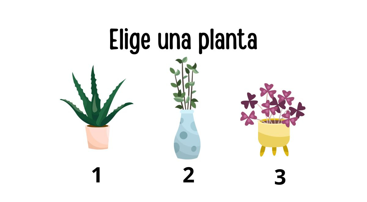 ¿Cuál te gusta más? Elige una planta y descubre qué tipo de mamá eres (o serías)