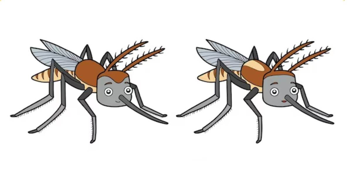 Identifica las 5 diferencias del mosquito: ¿podrás llevarte la gloria en menos de 8 segundos?