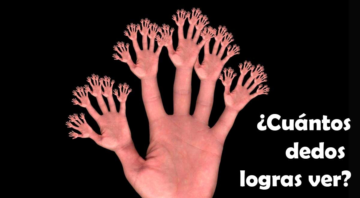 Pon a prueba tu capacidad intelectual con este reto EXTREMO: ¿Cuántos dedos logras ver?