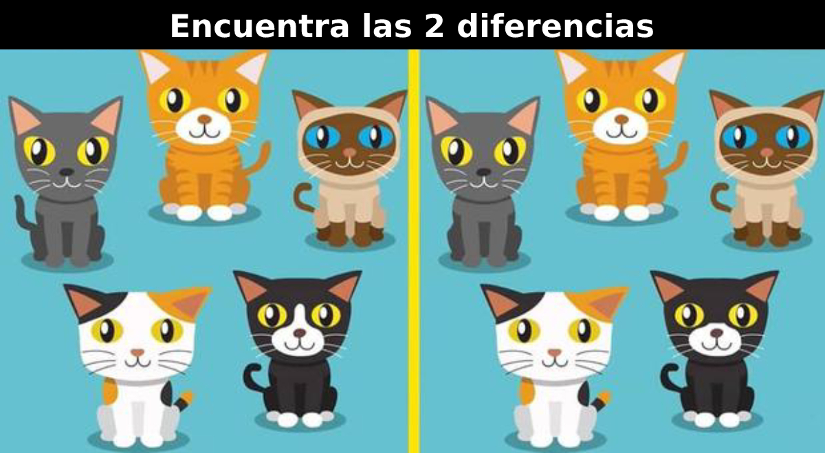 ¿Qué ha cambiado en los gatos? Encuentra las 2 diferencias en este RETO EXTREMO