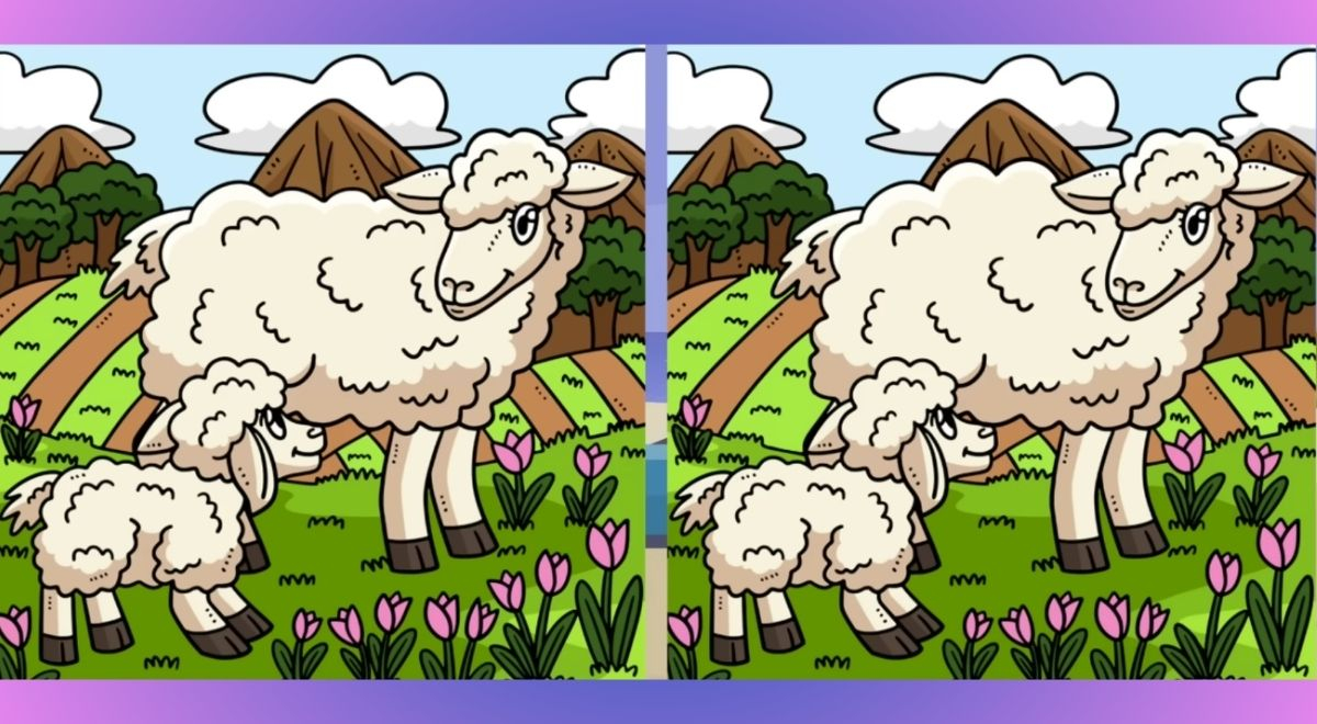 RETO COMPLEJO para MENTES HÁBILES: ubica las 3 diferencias entre las ovejas en 6 segundos