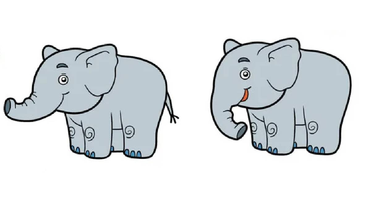 Solo hay tres diferencias en este elefante: ¿qué tan AUDAZ serás para verlas en 5 segundos?