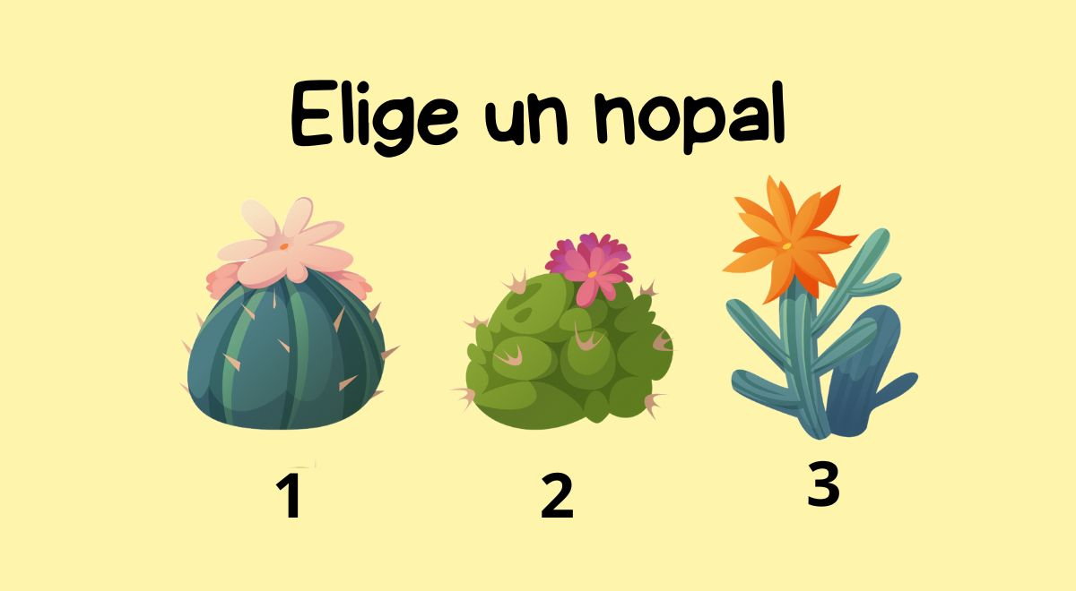 ¿Qué edad tienes a nivel mental? Elige un cactus y sorprendente con el resultado