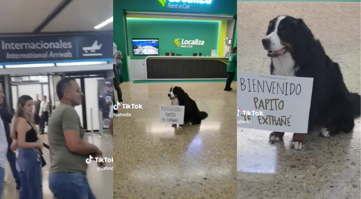 Perrito espera a su dueño en aeropuerto con tierno cartel de bienvenida: 