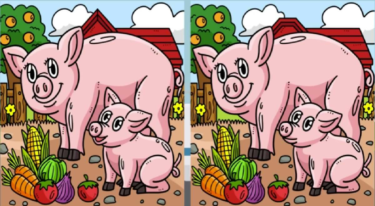 Do you see the 3 differences between the little pigs? Beat the EXTREME CHALLENGE in just 5 seconds.