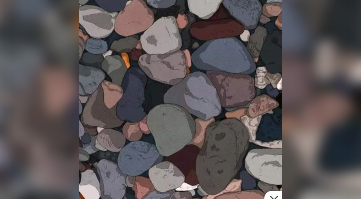Did you notice the hidden face among the stones? Only 1% of the WISEST can see it.