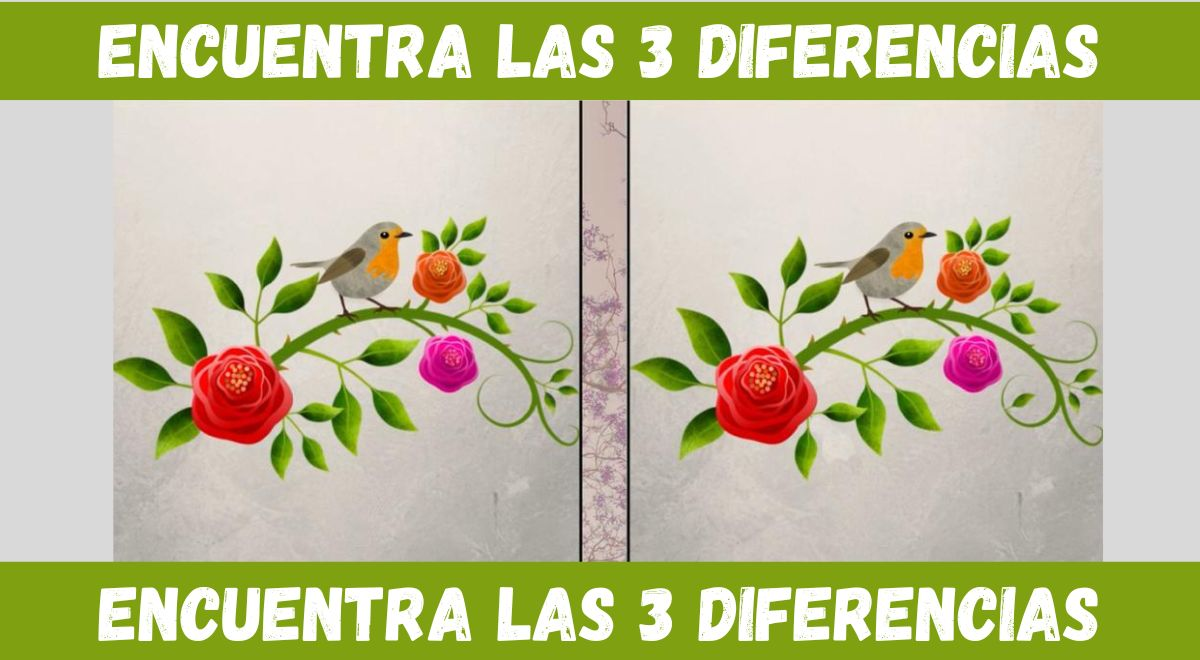 ¿Notas las 3 diferencias en la imagen? Supera esta prueba nivel Dios en solo 5 segundos