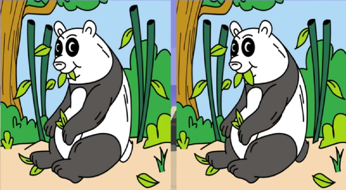 Reto visual casi imposible de resolver: ¿Ubicarás las 3 diferencias entre los pandas?