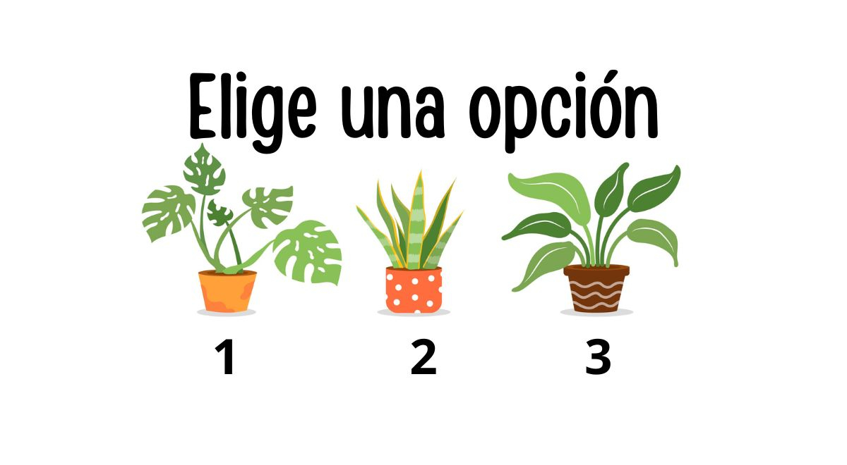 ¿Qué te hace falta? Elige una planta y descubre qué necesitas en tu vida
