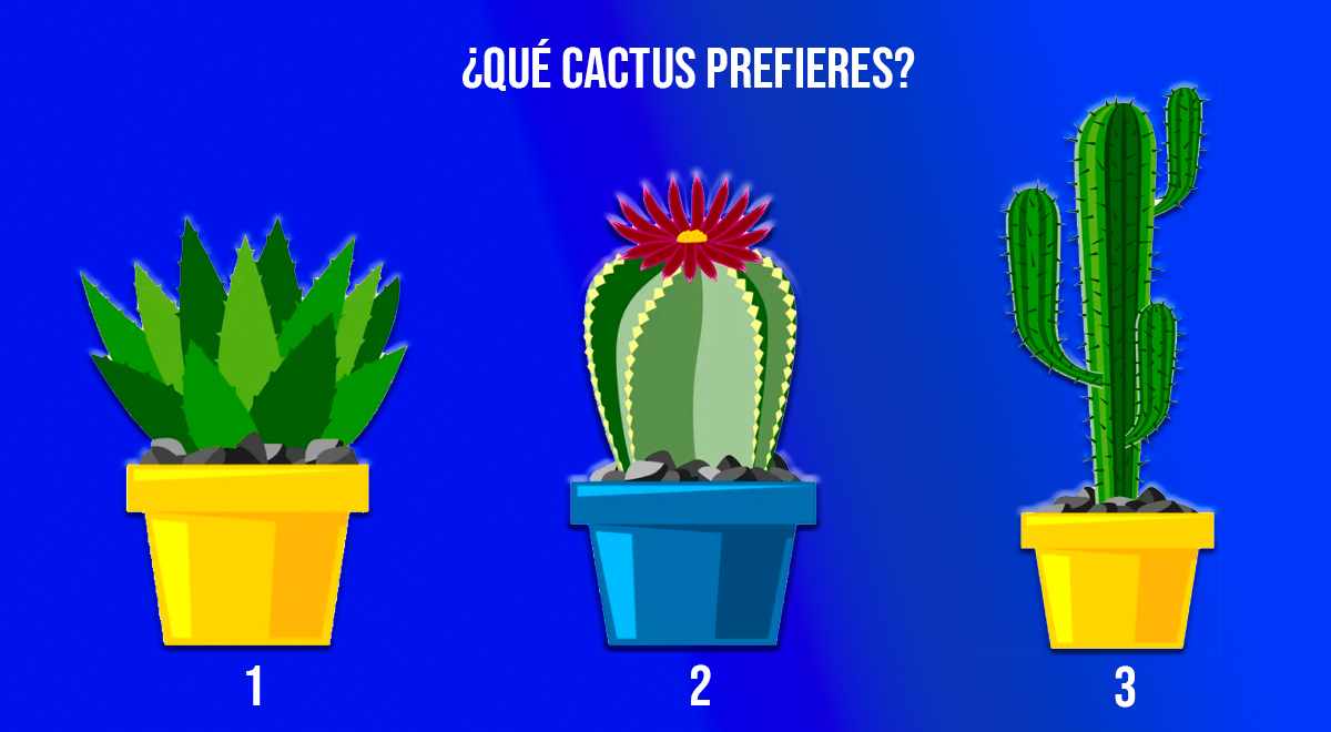 ¿Quieres saber si eres decidido y seguro? Elige un cactus para descubrir la respuesta