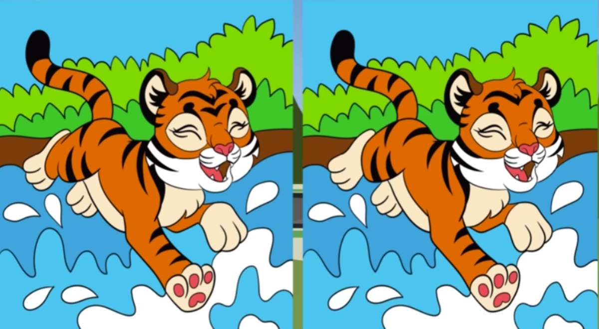EXTREME Challenge for GENIUSES: Can you see the 3 differences between the tigers?