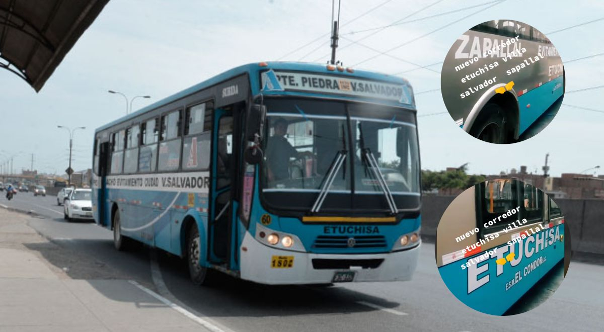 ¿Por qué los buses de 'Los chinos' tienen nuevos colores? Conoce qué hay detrás de este cambio radical