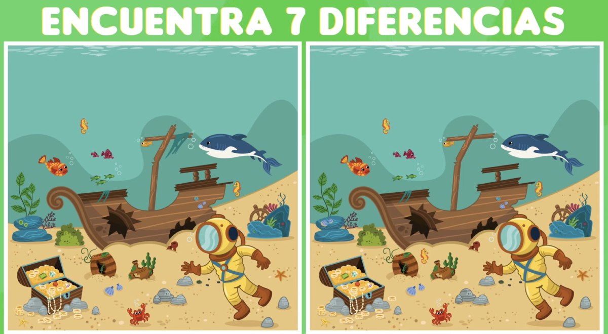 ¿Podrás ver las diferencias? Encuentra los 7 cambios en el fondo del mar en solo 10 segundos
