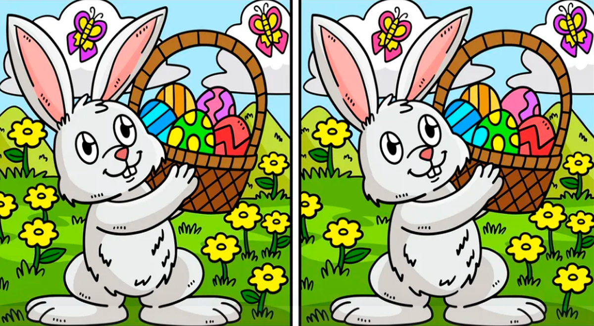 El reto más divertido de Internet: ¿Podrás ver las 6 diferencias entre los conejos?