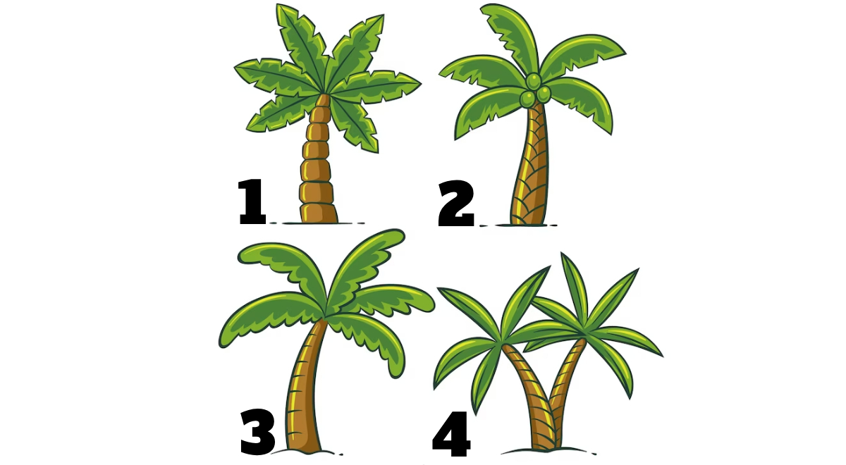 Descubre si estás tomando buenas decisiones a través de tu palmera favorita