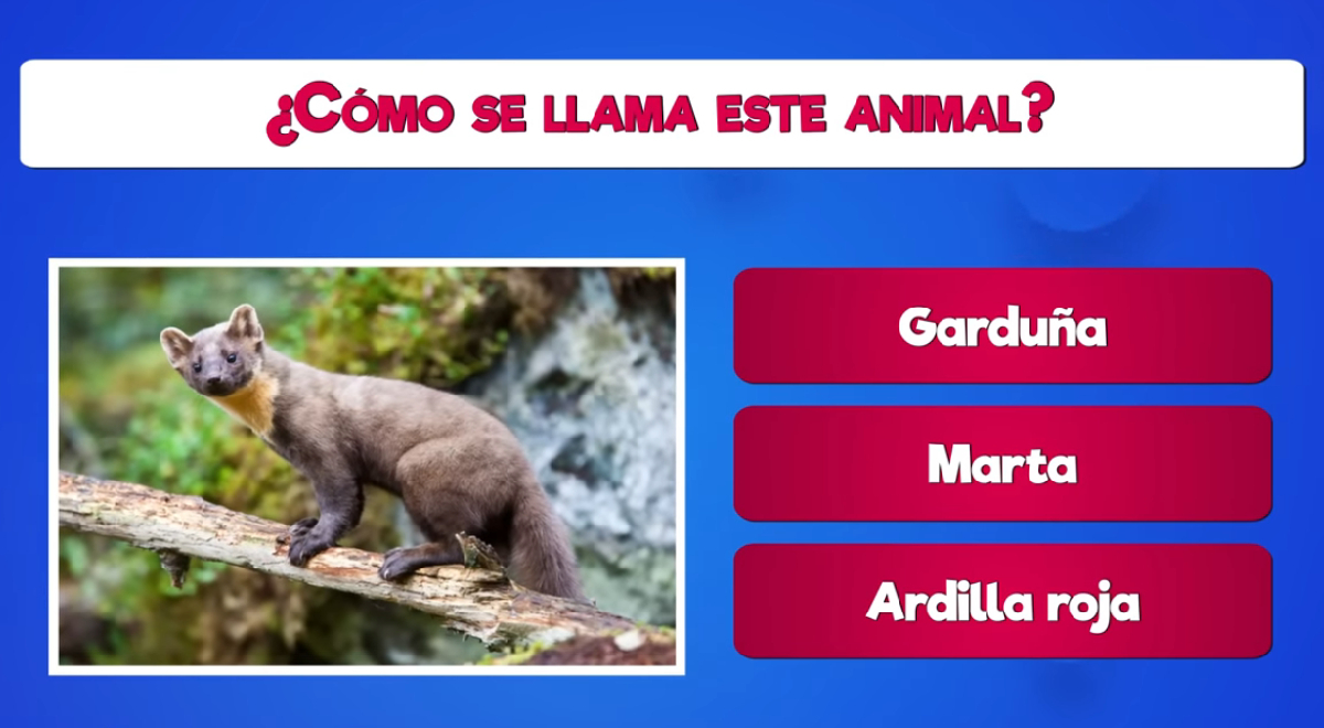 Acertijo visual para mentes CULTAS: ¿Cómo se llama el animal de la imagen? El 1% tuvo éxito