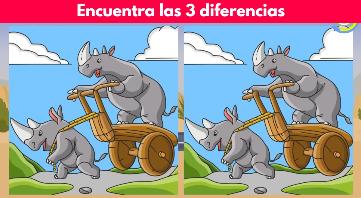 Si tienes una EXCELENTE visión supera este RETO: ubica las 3 diferencias en los rinocerontes