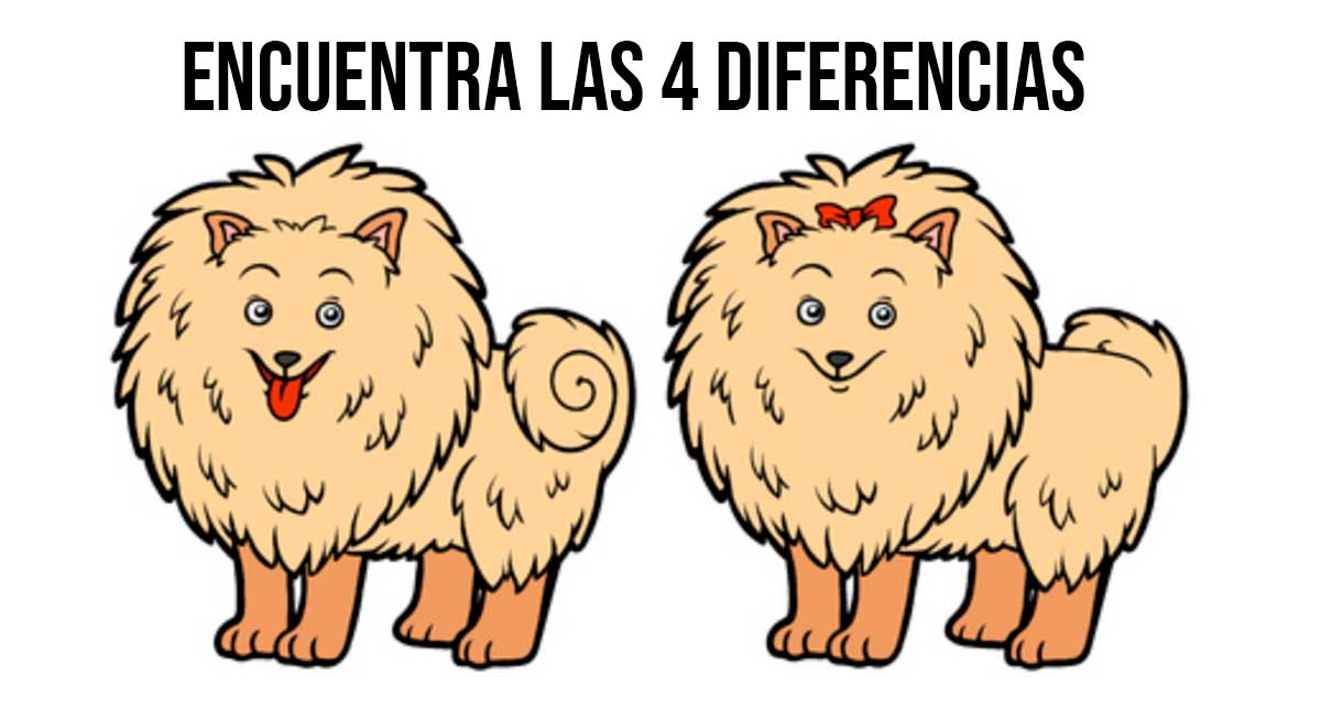 Reto visual EXCLUSIVO para GENIOS: ¿Podrás ubicar las 4 diferencias entre los perritos? El 99% erró