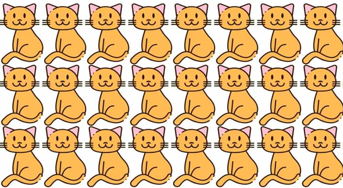 Encuentra al ÚNICO gato diferente a los demás: ¿Podrás vencer el reto visual en 7 segundos?