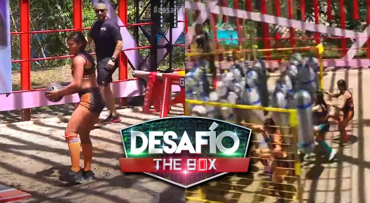 Desafío The Box 2023: mira las incidencias del capítulo 56