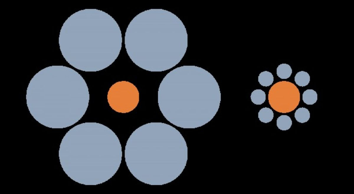 El 99.99% falló en su respuesta: ¿Cuál de los círculos naranjas es más grande?
