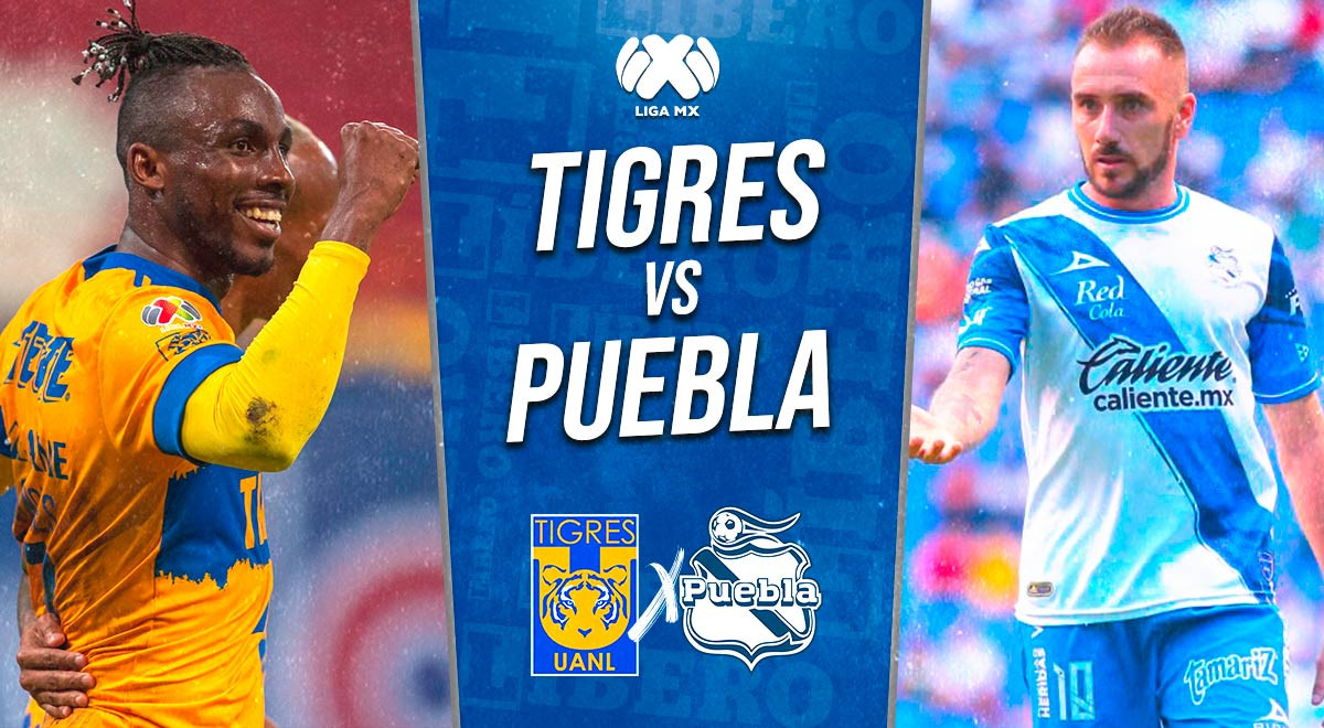 Tigres vs Puebla EN VIVO por Liga MX: partido minuto a minuto