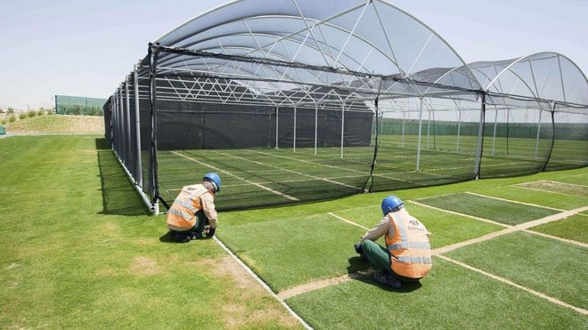¡ALUCINANTE! Catar construye un vivero para cultivar el césped de su