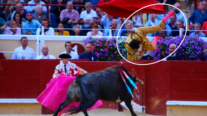 ¡Terrible! Torero peruano Joaquín Galdós recibe una brutal corneada en ...
