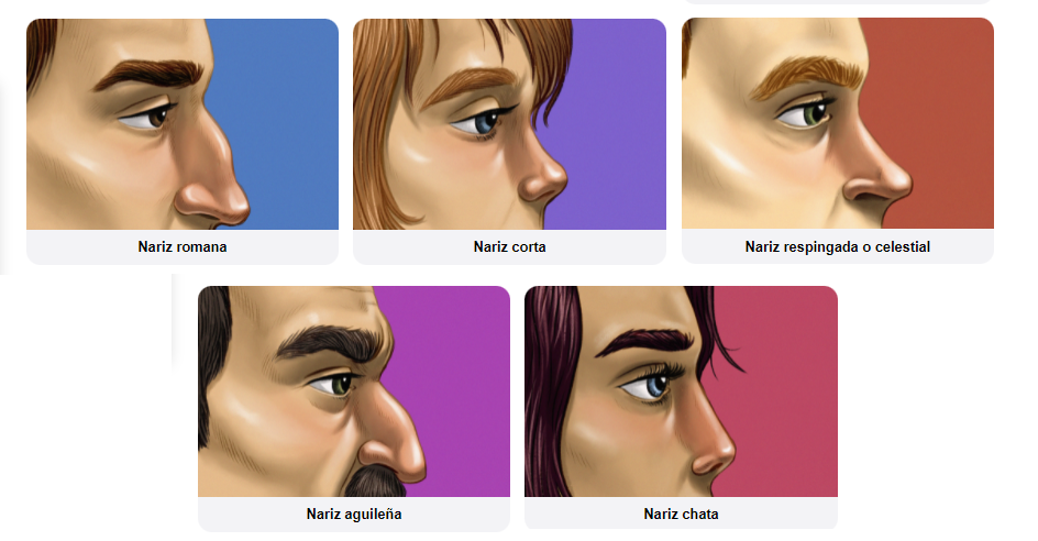 Test de personalidad: ¿puede la forma de tu nariz revelar rasgos ocultos?