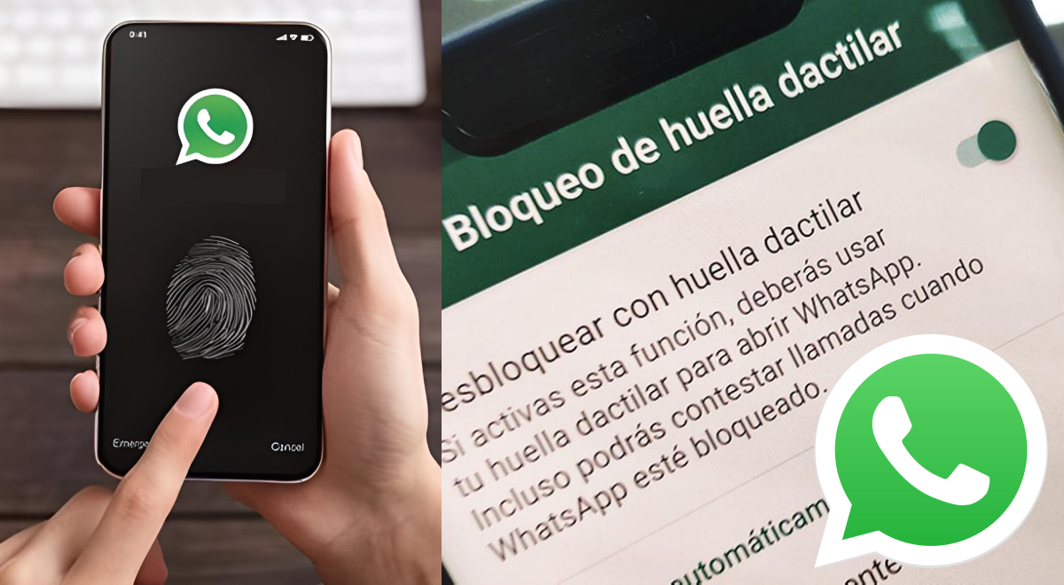 Whatsapp GuÍa Para Que Evites Que Te Revisen El Celular Sin Activar Una Contraseña 8893