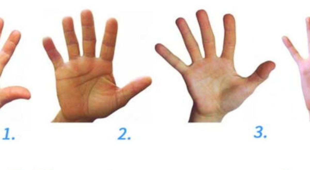 Test de personalidad: ¿Qué dice la forma de tus manos sobre ti? La ...