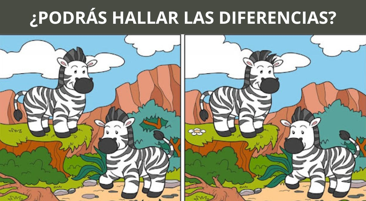 Intenta Encontrar Cada Una De Las Diferencias En Este Reto Visual, El ...