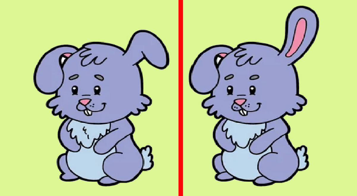 ¿Puedes ver las 5 diferencias entre los conejitos?  Tienes 7 segundos para resolver el desafío.