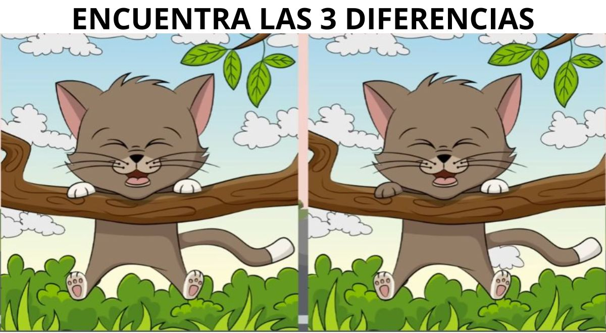 El 99 No Logró Superar Este Nuevo Reto En Tiempo Récord ¿podrás Hallar Las Diferencias 