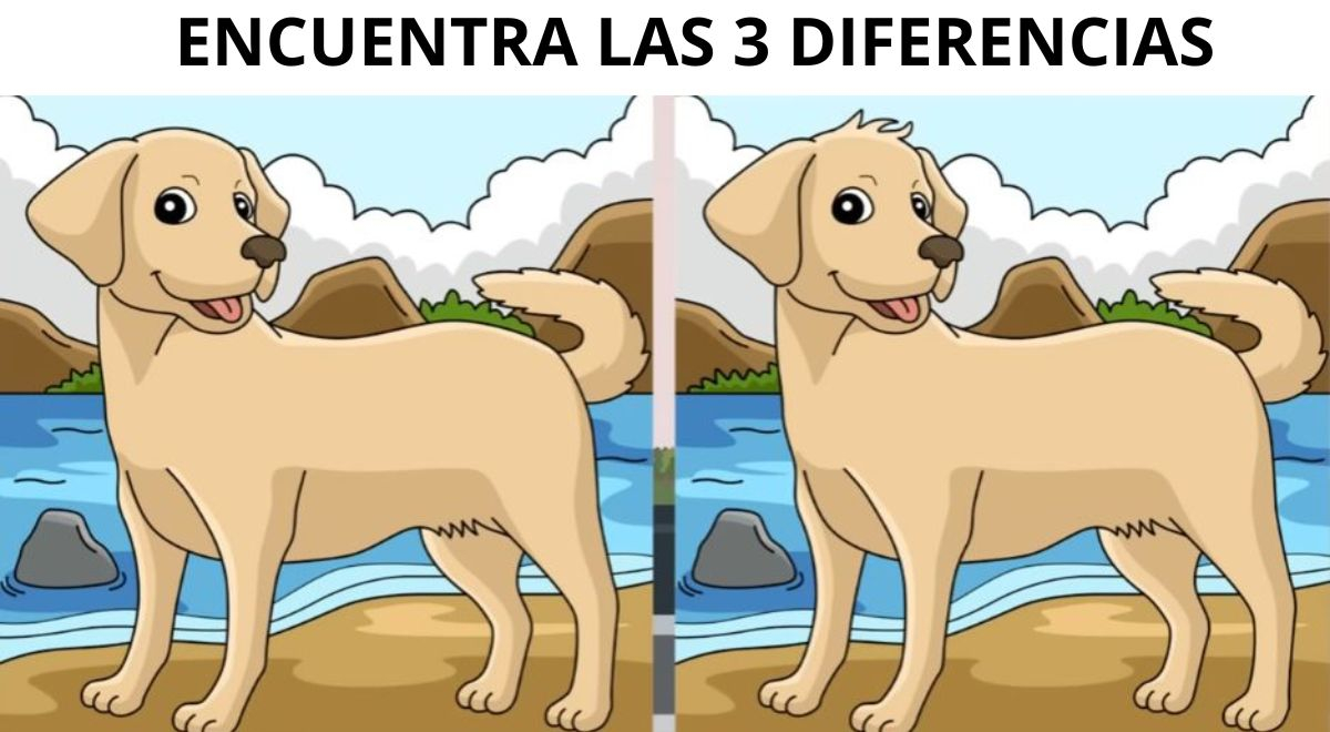 ¿podrás Hallar Las 3 Diferencias Atrévete A Superar Este Reto En Solo 7 Segundosemk 0709