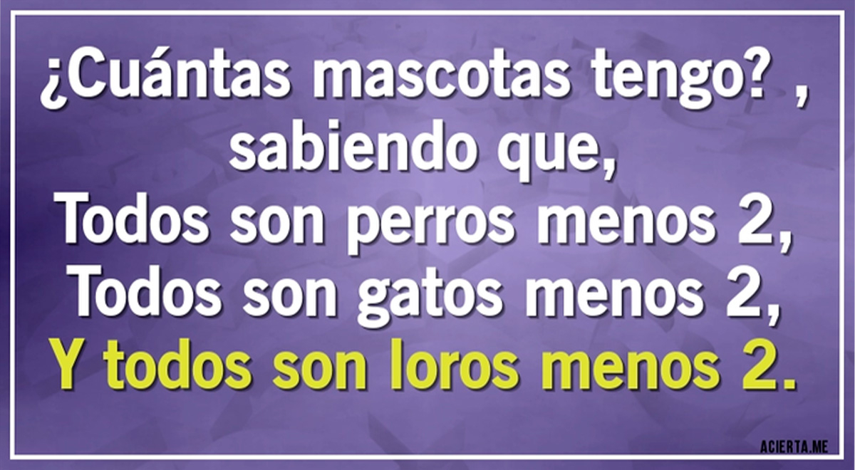 Solo Las Personas Más Inteligentes Superaron Este Acertijo ¿cuántas Mascotas Tengo 5509