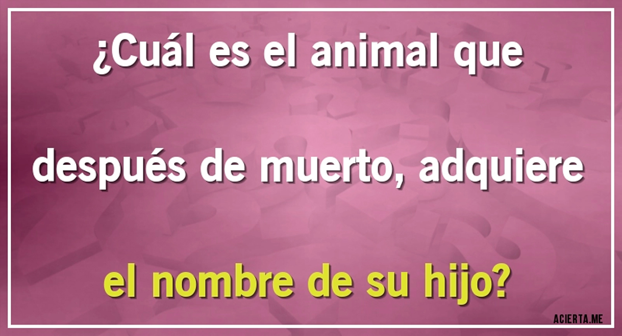 ¿Cuál es el animal que después de muerto rejuvenece? Supera el acertijo