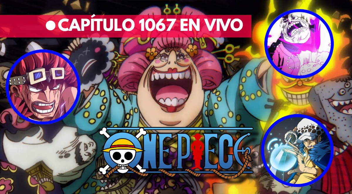 One Piece: ¿Cuándo y donde ver el capítulo 1065 del manga?