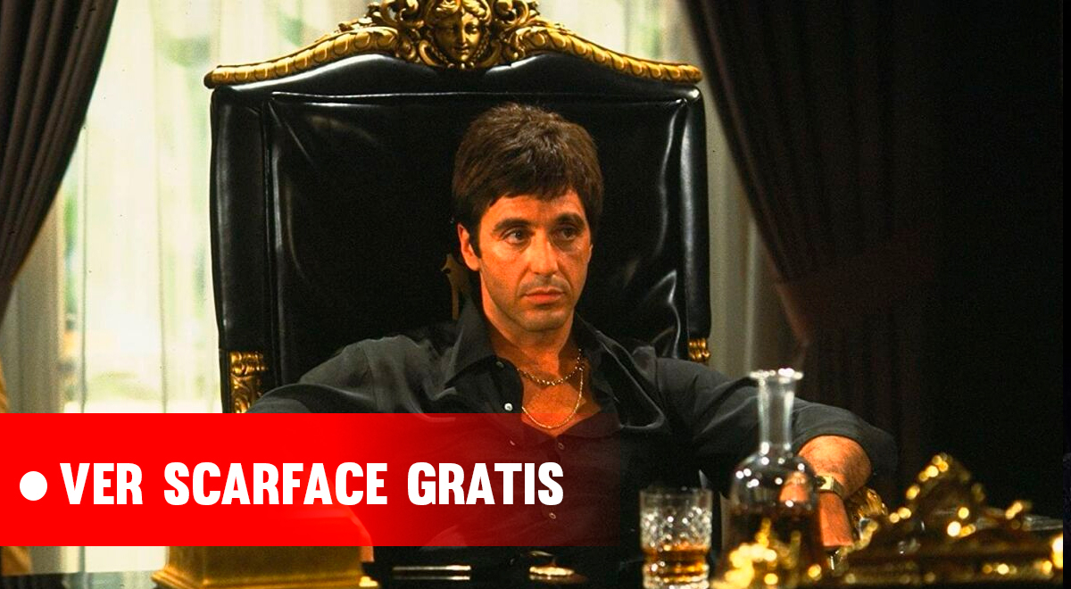 ver Scarface Película Completa online en español latino GRATIS ONLINE la  joya del cine protagonizada por Al Pacino