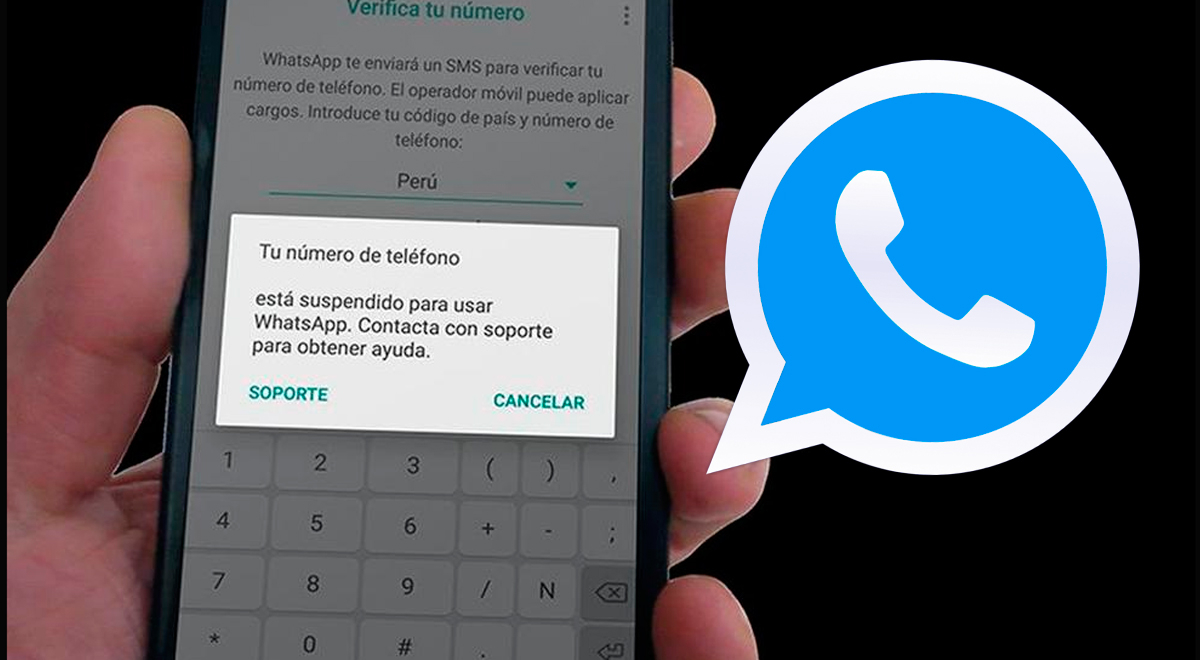 Como actualizar Whatsapp Plus de forma SEGURA y GRATUITA, WhatsApp Plus  40.22 descargar e instalar GRATIS