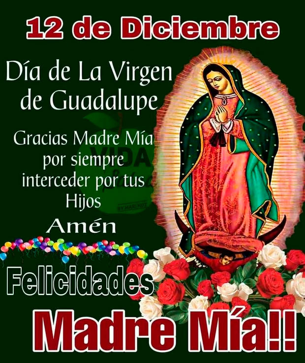 Día de la Virgen de Guadalupe, te compartimos 7 curiosidades – Noticias de  Aquí