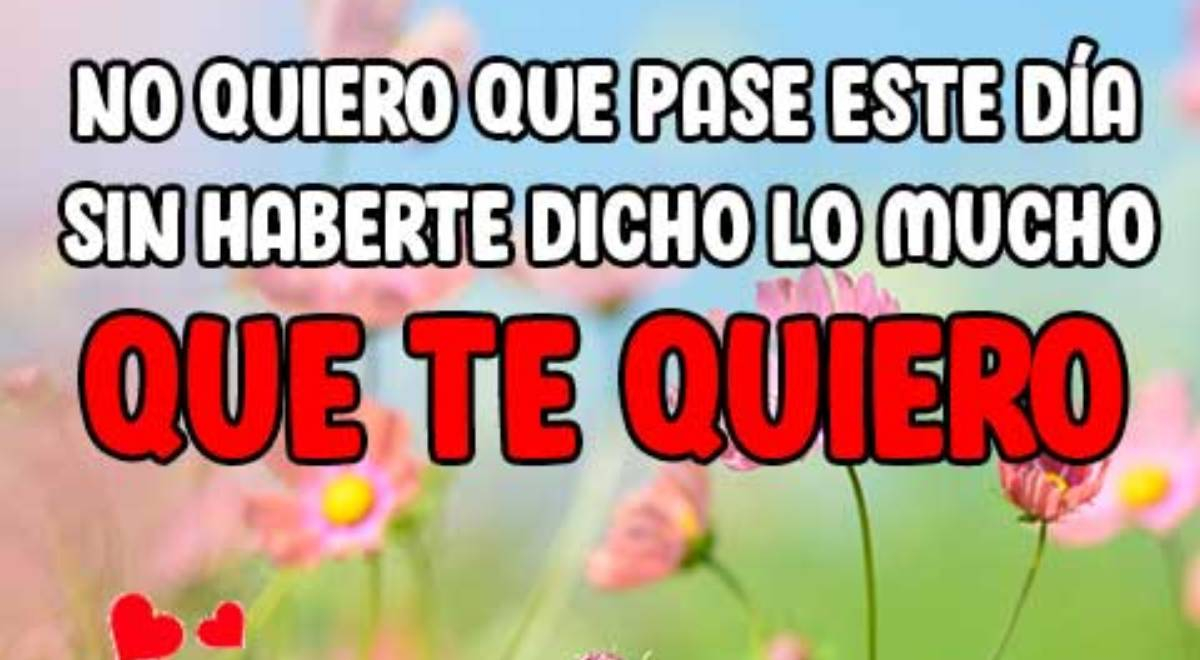 Recuérdale a esa persona que lo quieres mucho. Frases bonitas para dedicar a alguien especial