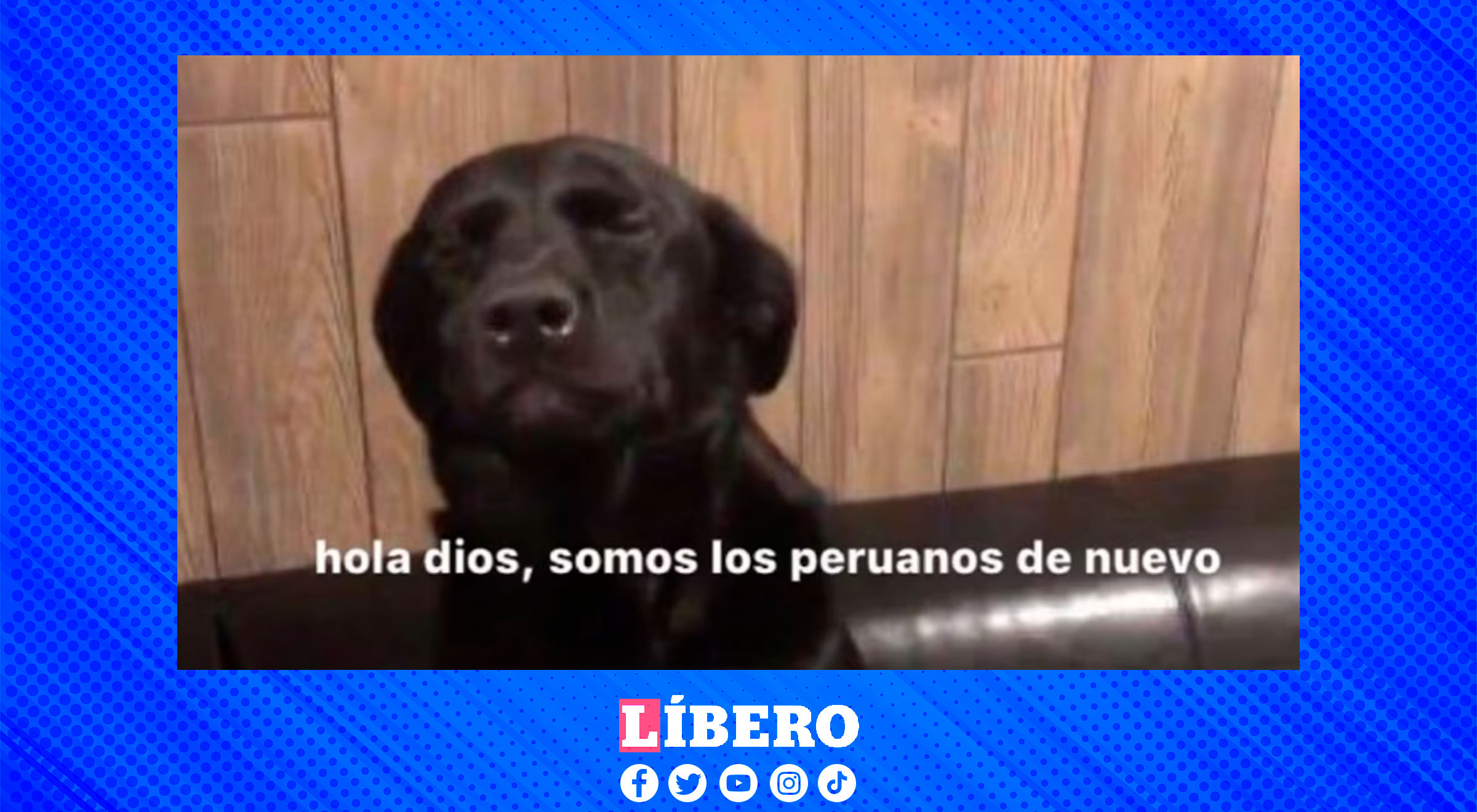 Perú vs. Brasil memes